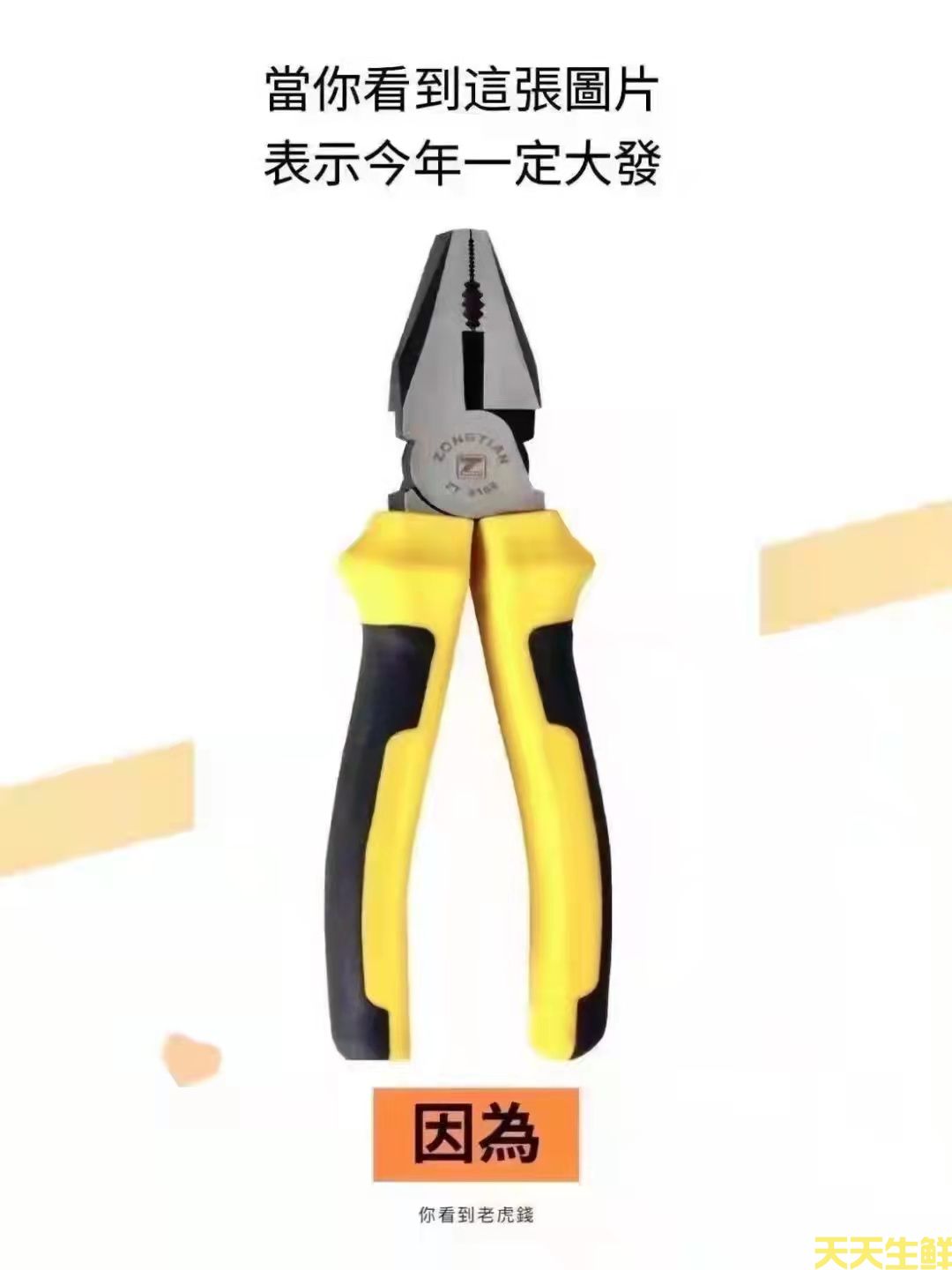 虎年吃虎菜,一桌虎菜安排上(圖5) 虎年吃虎菜,一桌虎菜安排上(圖5)