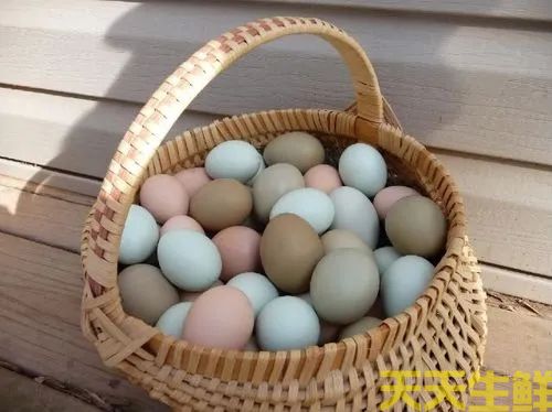 廣州蔬菜配送告訴你常見(jiàn)雞蛋有哪些品種？(圖2)