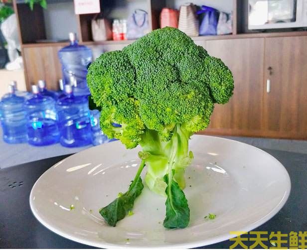 節日送花選擇蔬菜花，經濟實惠的浪漫(圖2)