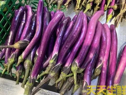 廣州農(nóng)產(chǎn)品配送公司告訴你，常見茄子的種類有哪些？(圖3)
