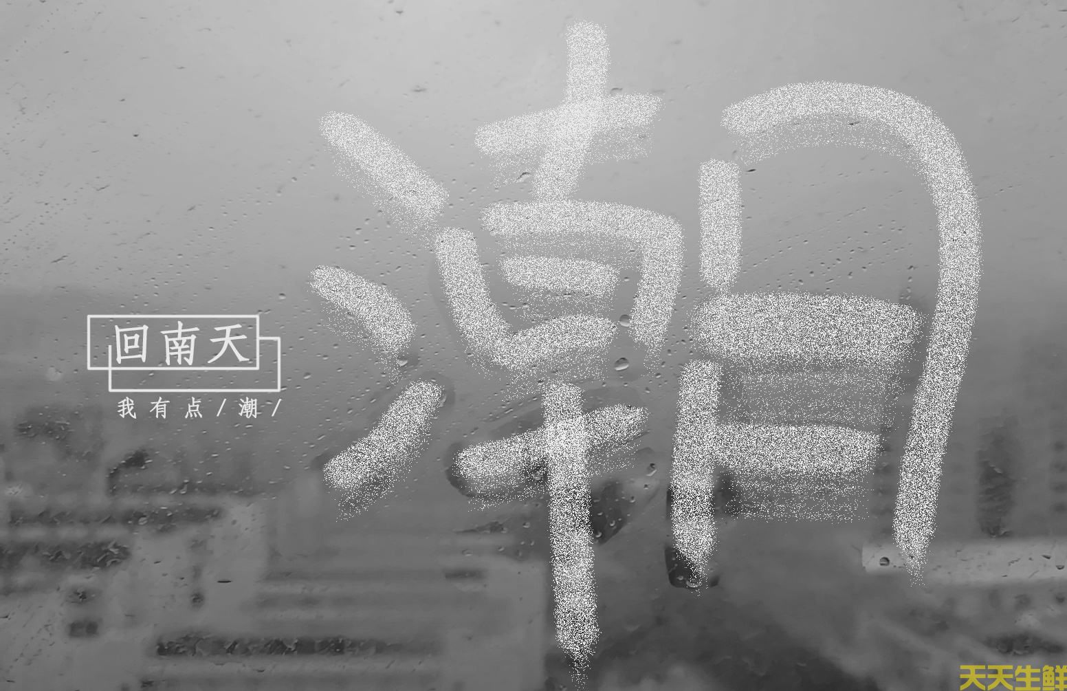 回南天,吃什么食材好?廣州農產品配送告訴你(圖2) 回南天,吃什么食材好?廣州農產品配送告訴你(圖2)