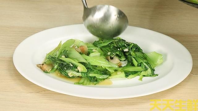 蔬菜配送—水東芥菜(圖3) 蔬菜配送—水東芥菜(圖3)