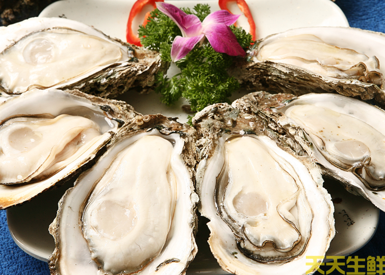 廣州送菜公司分享:常見的海鮮貝類有哪些?(圖9) 廣州送菜公司分享:常見的海鮮貝類有哪些?(圖9)