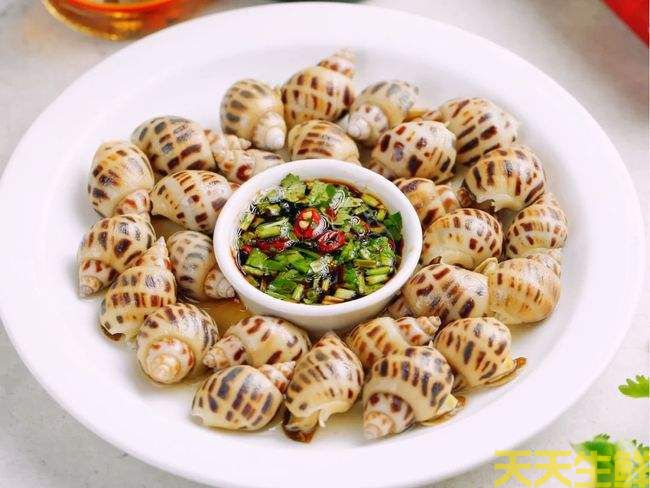 廣州送菜公司分享:常見的海鮮貝類有哪些?(圖11) 廣州送菜公司分享:常見的海鮮貝類有哪些?(圖11)