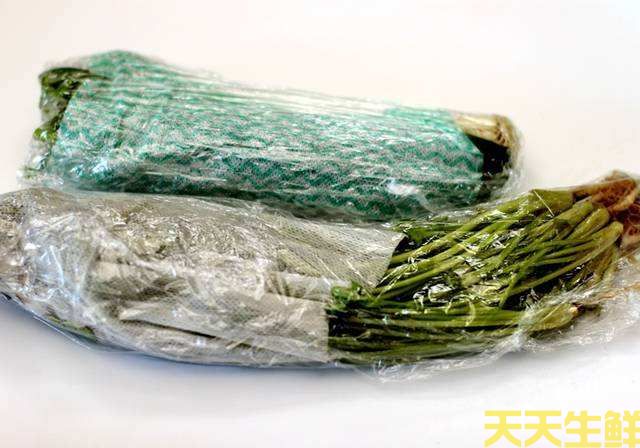 廣州蔬菜配送公司告訴你,蔬菜如何保鮮?(圖2) 廣州蔬菜配送公司告訴你,蔬菜如何保鮮?(圖2)