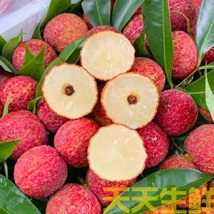 荔枝的品種有哪些？廣州蔬菜配送公司科普(圖3)