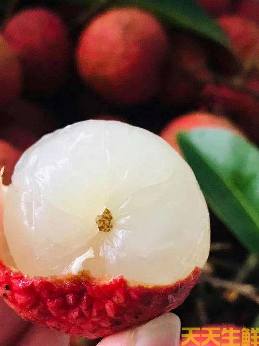 荔枝的品種有哪些？廣州蔬菜配送公司科普(圖16)