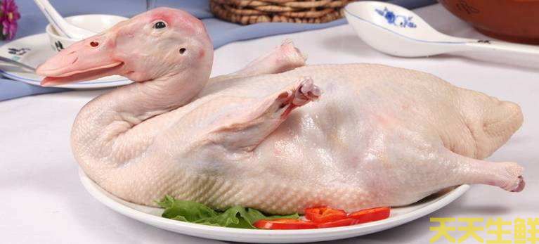 天氣炎熱吃什么好?廣州蔬菜配送公司推薦你8種食材(圖9) 天氣炎熱吃什么好?廣州蔬菜配送公司推薦你8種食材(圖9)