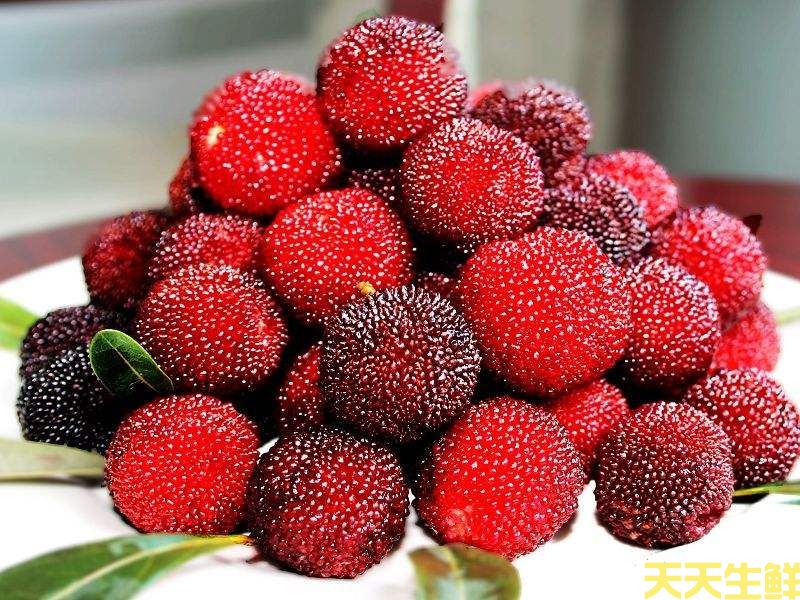 夏季炎熱吃什么水果好?廣州蔬菜配送公司分享6種消暑水果(圖6) 夏季炎熱吃什么水果好?廣州蔬菜配送公司分享6種消暑水果(圖6)