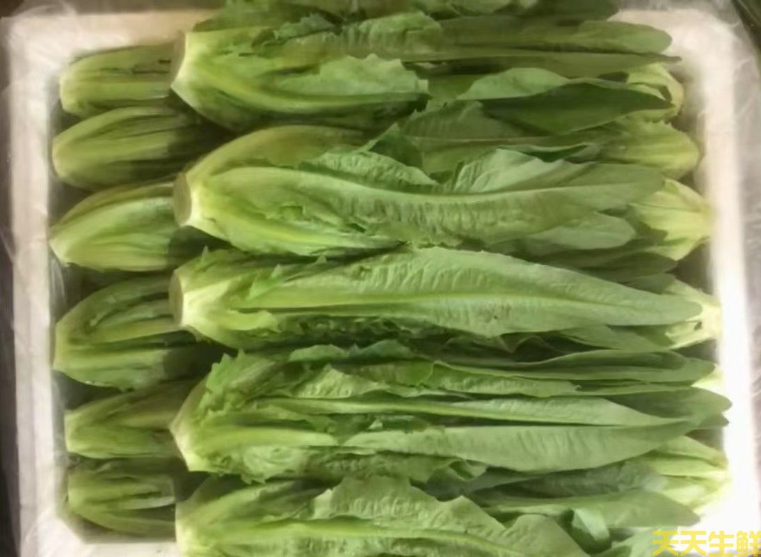 2024年7.8月份蔬菜價(jià)格為什么連續(xù)上漲(圖3)