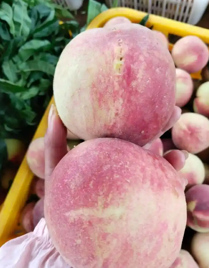 2024年最臟的水果排名(圖3) 2024年最臟的水果排名(圖3)