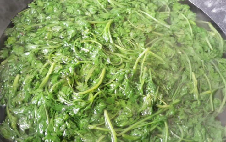 關(guān)于艾葉,你知道多少?(圖2) 關(guān)于艾葉,你知道多少?(圖2)